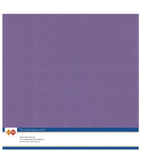 10 FEUILLES 30 X 30 CM 240GR - GRAPE - SC62