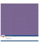 10 FEUILLES 30 X 30 CM 240GR - GRAPE - SC62