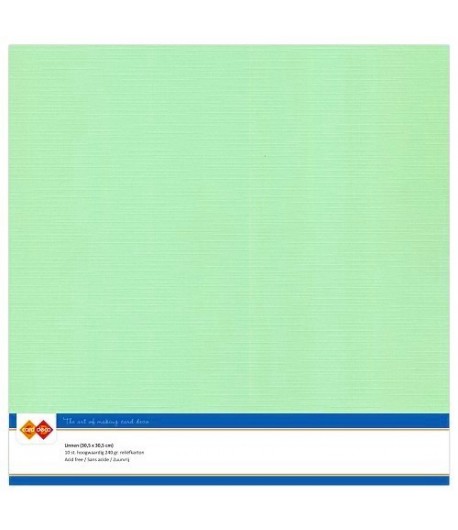 10 FEUILLES 30 X 30 CM 240GR - VERT MOYEN - SC20