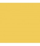 ALLEGRO KAL52 59ML GIALLO PASTELLO STAMPERIA