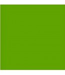 ALLEGRO KAL69 59ML VERDE CAMPO STAMPERIA