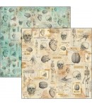 PAPIER HUMAN ANATOMY  SIGN OF THE TIMES CIAO BELLA 30.5X30.5CM CBSS154