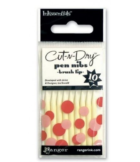 PEN NIBS CUT-N-DRY RANGER X10