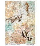 PAPIER DE RIZ A4 OCEANIC 21 X 29.7CM CBRP169