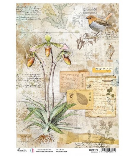 PAPIER DE RIZ A4 BOTANICAL 21 X 29.7CM CBRP170