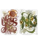 TAMPONS TRANSPARENTS YES NO PSB6025