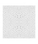 BLOC 22 FEUILLES CELEBRATION  -  30 X 30 CM - SBBXLB11