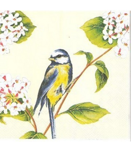 SERVIETTE OISEAU BLEU