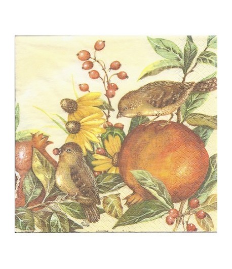 SERVIETTE OISEAUX ET FRUITS