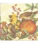 SERVIETTE OISEAUX ET FRUITS