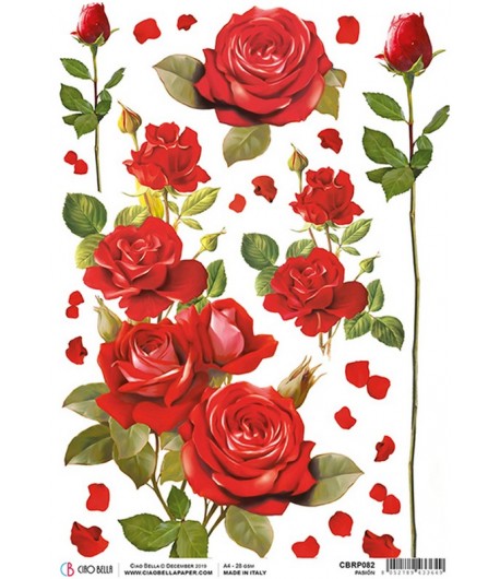 PAPIER DE RIZ PASSION 21 X 29.7CM CBRP082