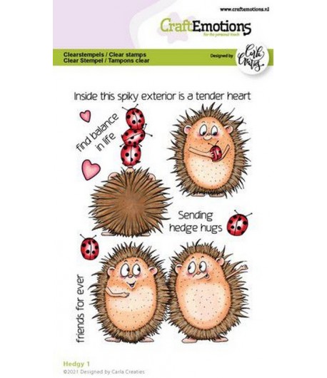TAMPONS HEDGY 1 - A6