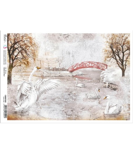 PAPIER DE RIZ A4 SWAN LAKE 21 X 29.7CM CIAO BELLA CBRP205