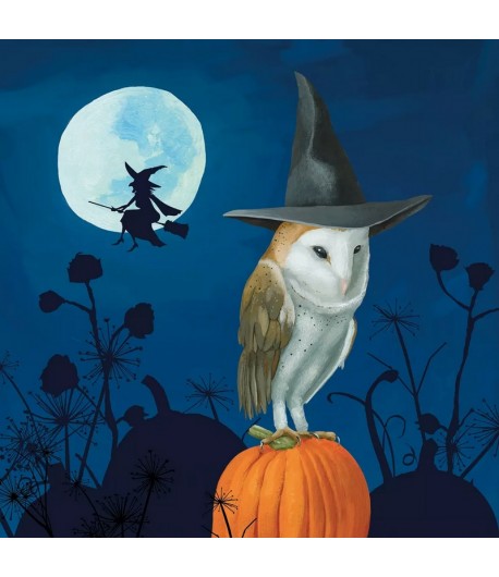 SERVIETTE COCKTAIL WIZARD'S HALLOWEEN