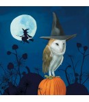 SERVIETTE COCKTAIL WIZARD'S HALLOWEEN