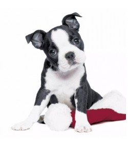 SERVIETTE PETIT CHIEN DE NOEL