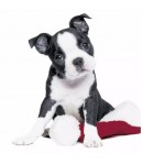 SERVIETTE PETIT CHIEN DE NOEL