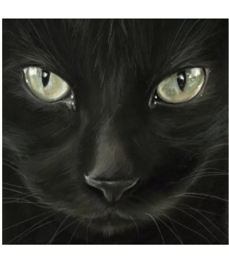 SERVIETTE KAO BLACK CAT