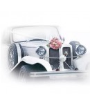 SERVIETTE LA VOITURE DES MARIES