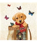 SERVIETTE CHIOT BUDDY