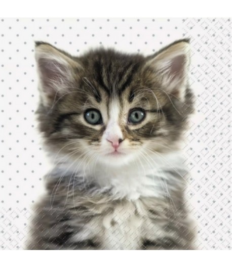 SERVIETTE CHATON LIVA