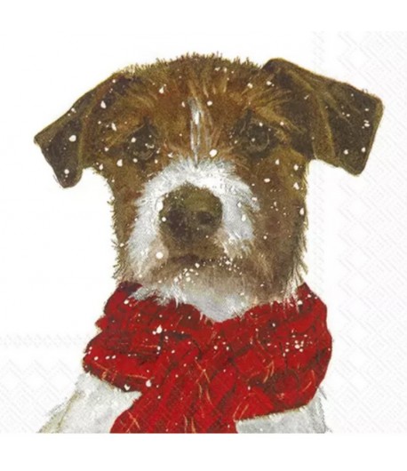 SERVIETTE CHIOT ARCHIE