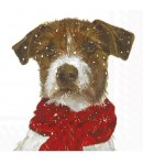 SERVIETTE CHIOT ARCHIE