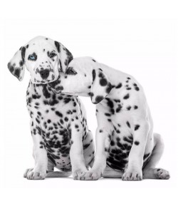 SERVIETTE DALMATIENS