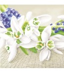 SERVIETTE PERCE NEIGE BLANC