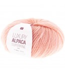 LAINE ALPACA SUPERFINE POUDRE (012)