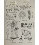 TAMPONS TRANSPARENTS BEAVERS TREE FARM PS8020 CIAO BELLA