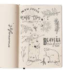 TAMPONS TRANSPARENTS BEAVERS TREE FARM PS8020 CIAO BELLA