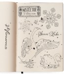 TAMPONS TRANSPARENTS SWAN LAKE PS8021 CIAO BELLA