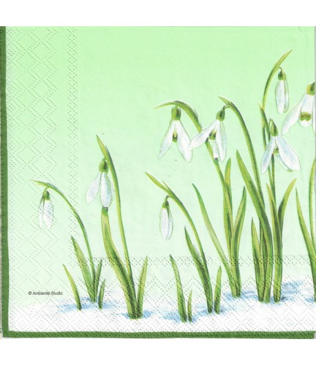 SERVIETTE PERCE NEIGE FOND VERT