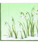 SERVIETTE PERCE NEIGE FOND VERT