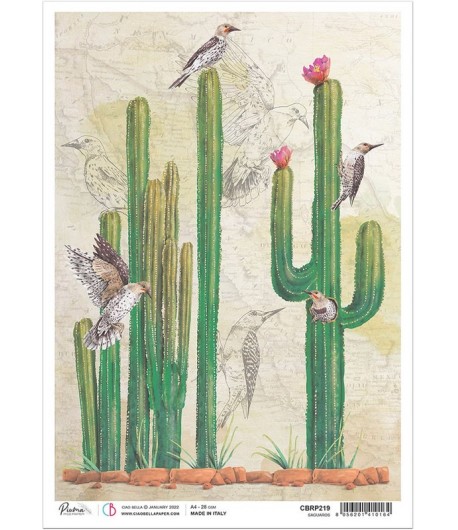 PAPIER DE RIZ A4 CACTUS GARDEN 21 X 29.7CM CIAO BELLA CBRP218