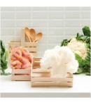 LIVRET VEGGIE BUBBLE