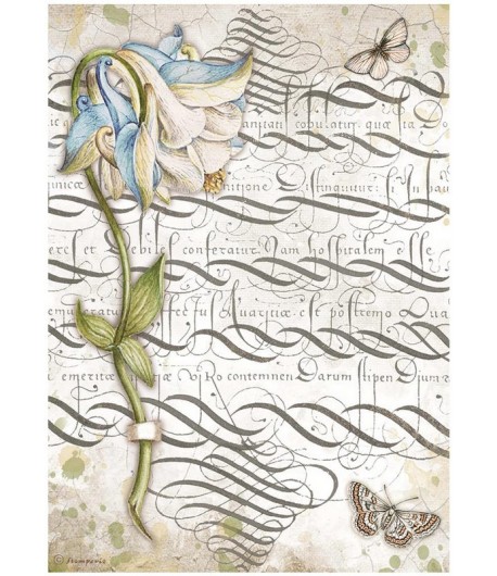 PAPIER DE RIZ A4 GARDEN HOUSE - COLUMBIN 21X29.7 - DFSA4668 - STAMPERIA