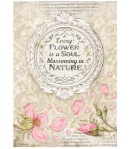 PAPIER DE RIZ A4 GARDEN HOUSE - FRAME WITH QUOTE 21X29.7 - DFSA4670 - STAMPERIA