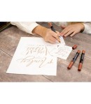 SPECTRUM NOIR METALLIC PAINT  X 3 - COPPER