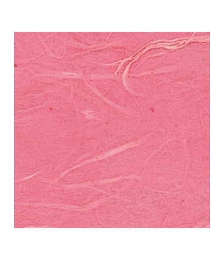 PAPIER DE RIZ FRAISE 33 X 48 CM