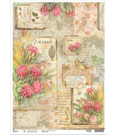 PAPIER DE RIZ A3 THE MUSE 30.6 X 42.7CM CBRM009