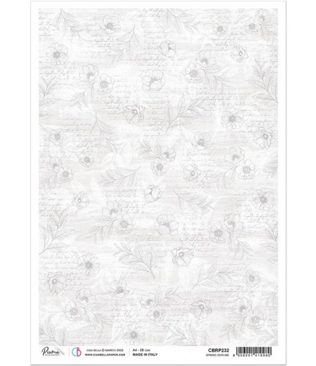 PAPIER DE RIZ A4 SPRING OUTLINE 21 X 29.7CM CIAO BELLA CBRP232
