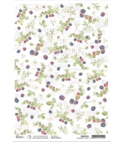 PAPIER DE RIZ A4 BLACKBERRY GARDEN 21 X 29.7CM CIAO BELLA CBRP234