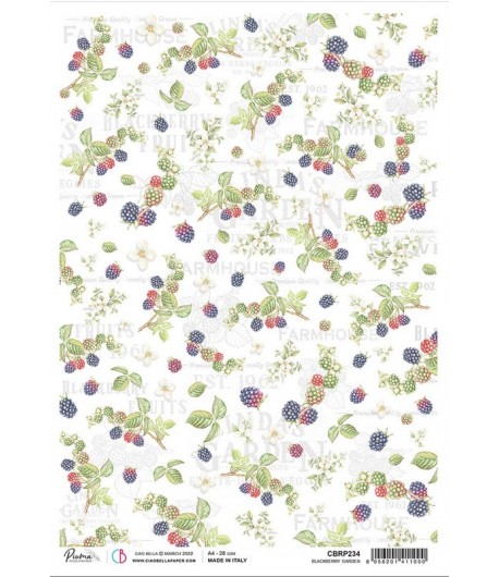 PAPIER DE RIZ A4 BLACKBERRY GARDEN 21 X 29.7CM CIAO BELLA CBRP234