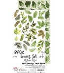 CHARMING EXTRAS SET 15.5 X 30.5 CM -  BEAUTY