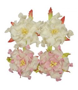 FLEURS GARDENIAS 4.5 CM x 4 - BLANC / ROSE