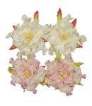 FLEURS GARDENIAS 4.5 CM x 4 - BLANC / ROSE