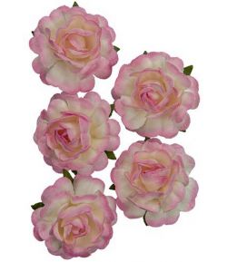 FLEURS ROSES 3.5 CM X 5 - BLANC / ROSE