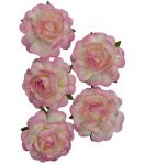 FLEURS ROSES 3.5 CM X 5 - BLANC / ROSE